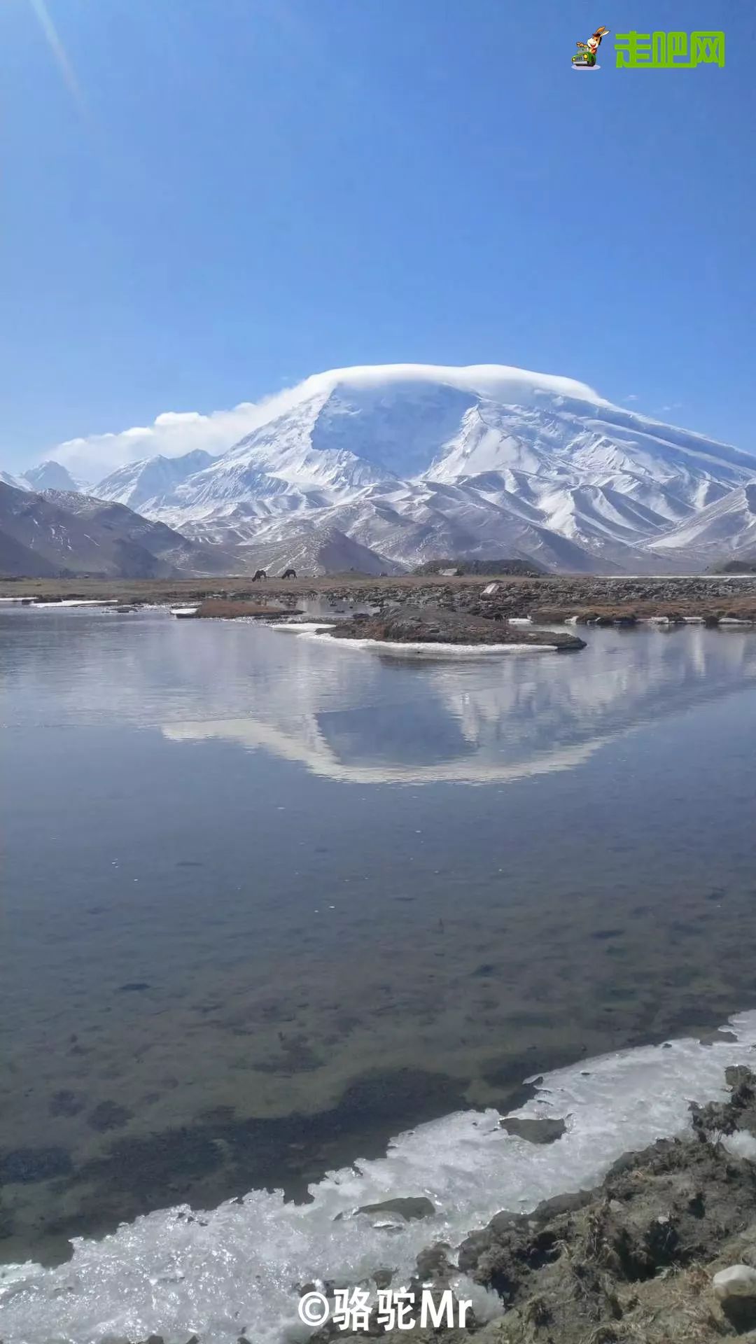 这条最“咸”最彩的公路，治好了我*藏西**的病，解掉了我*疆新**的毒