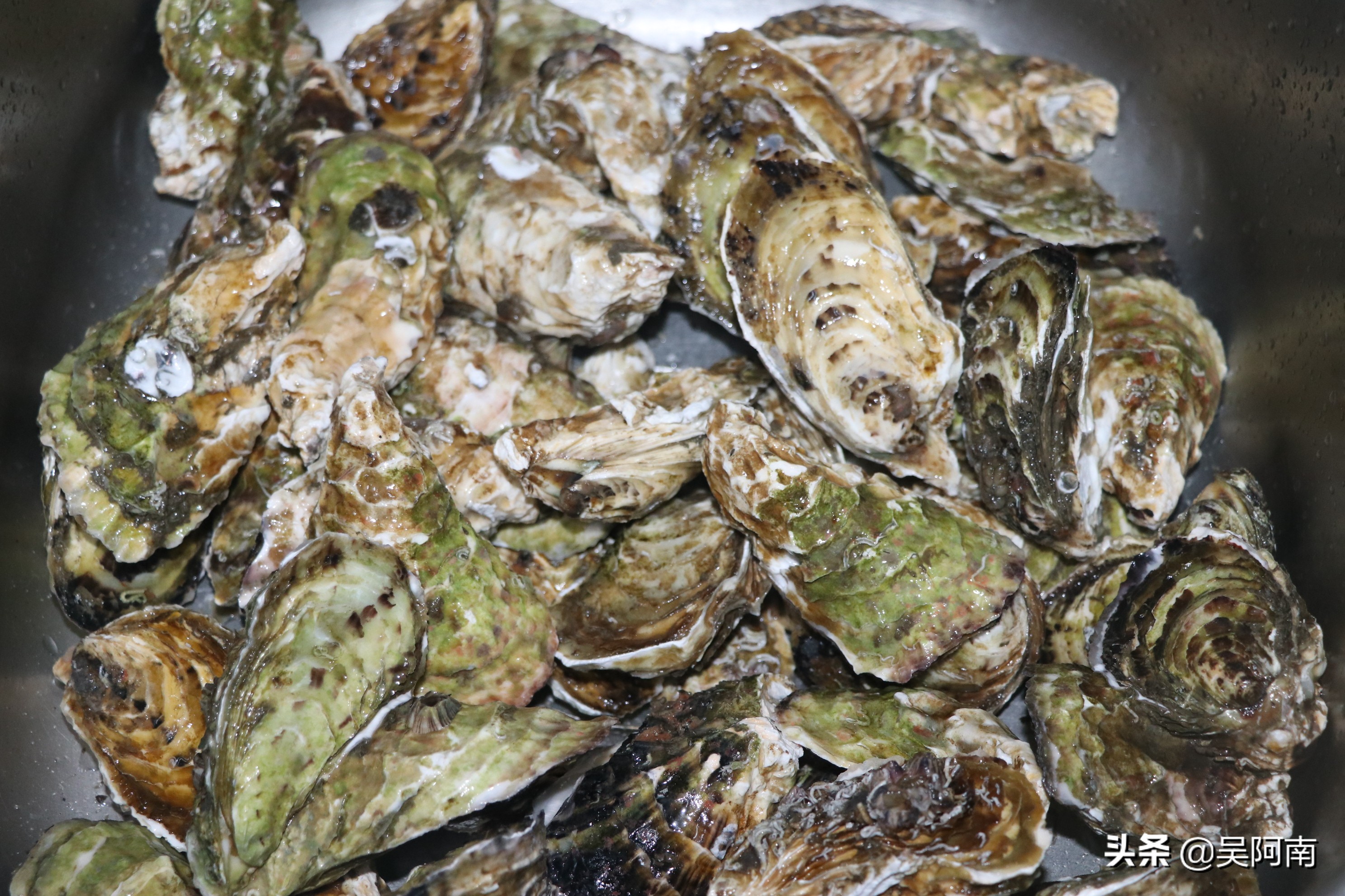 高压锅生蚝蒸10分钟还是20分钟,生蚝高压锅正确吃法