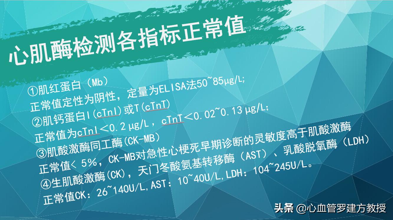 心血管体检报告,心血管检查有问题报告单会怎么写