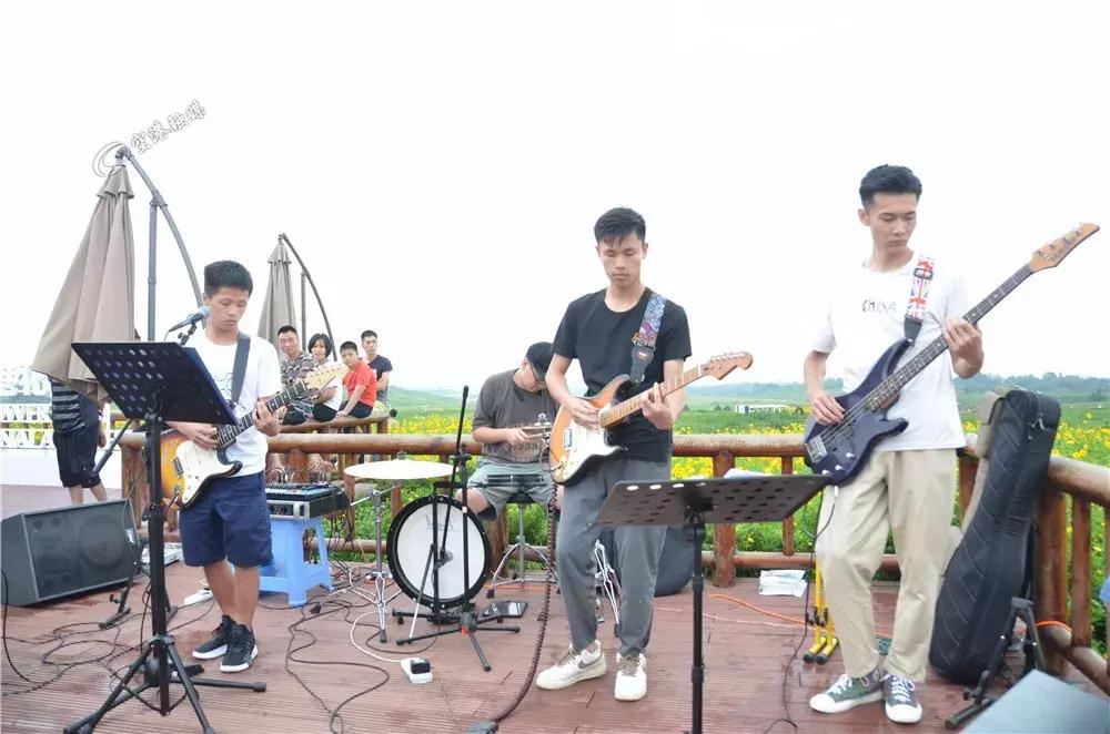 双流哪里可以赏花看飞机,双流附近赏花攻略路线