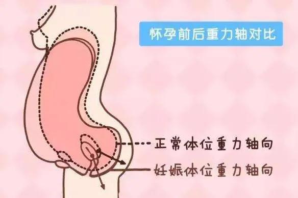 孕产培训公开课,孕产护理课