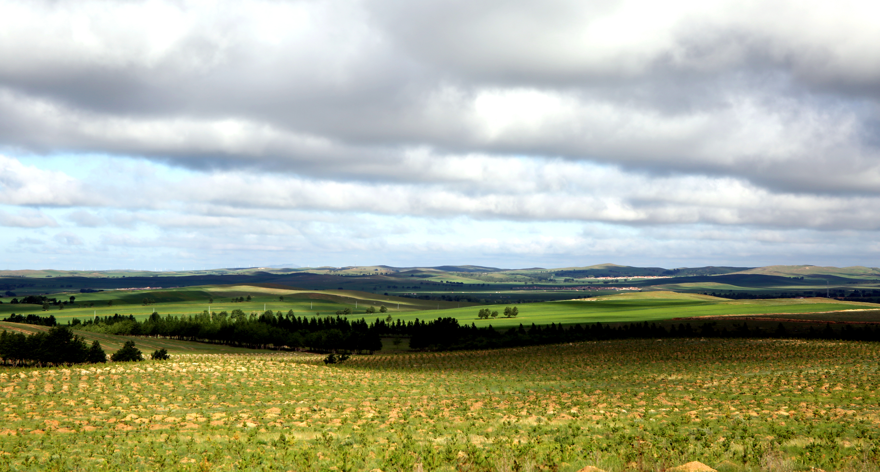北大荒古法酿造纯粮食酒,坚持老工艺只酿纯粮酒