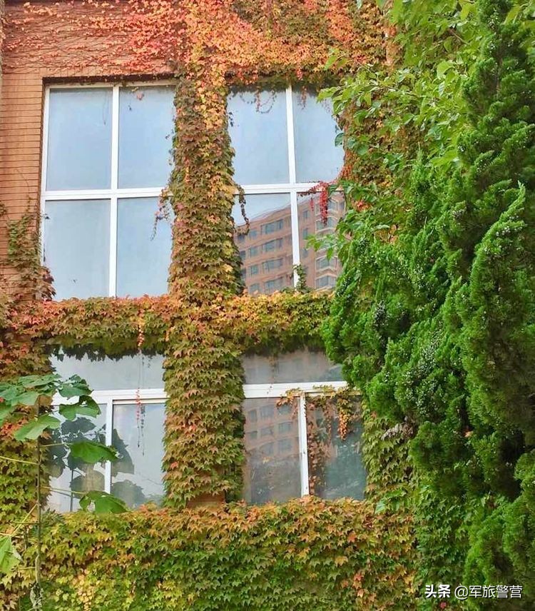 大连市八七疗养院的故事,大连八七疗养院