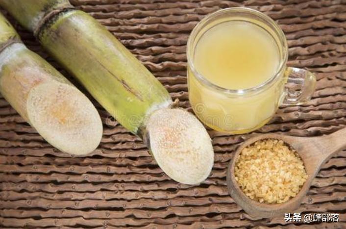 蜜蜂喂白糖产出的蜂蜜好吗,喂养蜜蜂糖水怎样配制