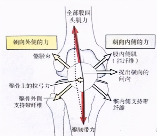跑步对膝盖的正确训练,错误跑步姿势小腿疼怎么办