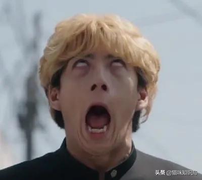 营养膏有营养吗,好吃又不贵的猫粮营养膏