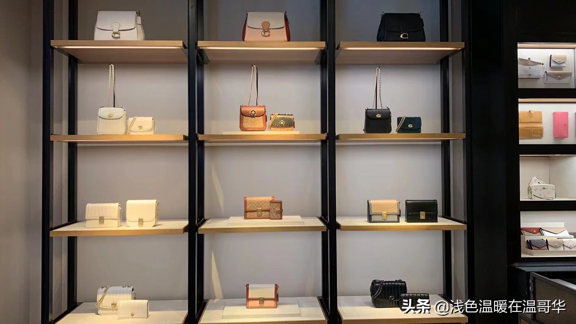 coach女包必买的经典款专柜,coach包包奥莱款和专柜的区别