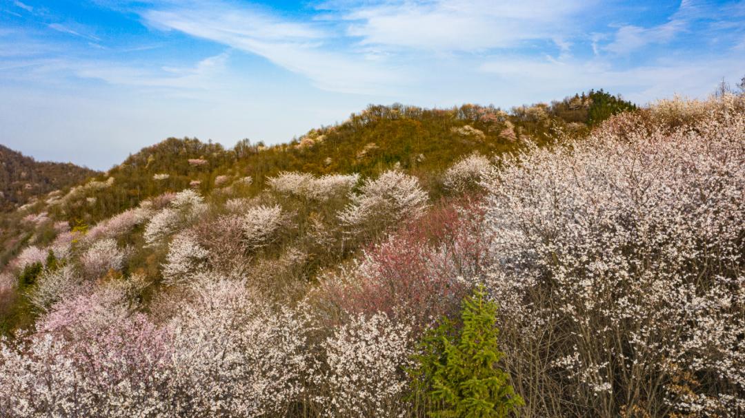 鍐滄皯鏃ユ姤绯诲垪鎶ラ亾,鍐滄皯鏃ユ姤涔℃潙鎸叴鎶ラ亾