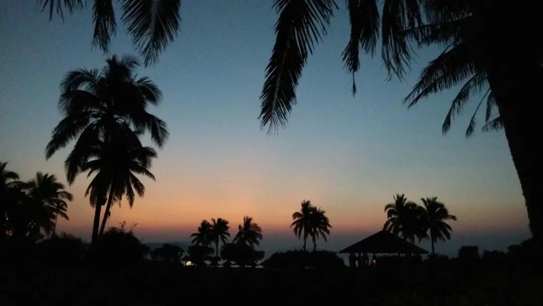 “一个人的除夕跟平常的晚上差不多”