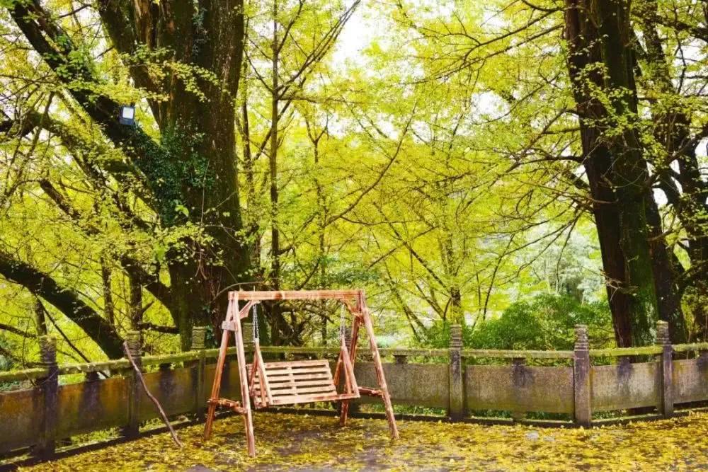 雅安旅行攻略亲子游,雅安市旅行攻略自由行路线