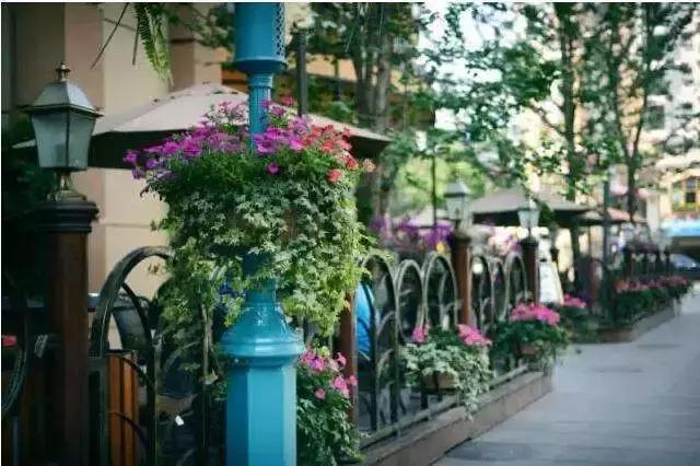 成都的干净程度,成都的街道名为什么好听