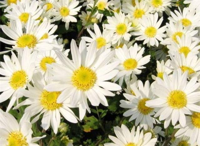 敏感肌不能用什么成分的护肤品,敏感肌不可以用哪些成分的护肤品