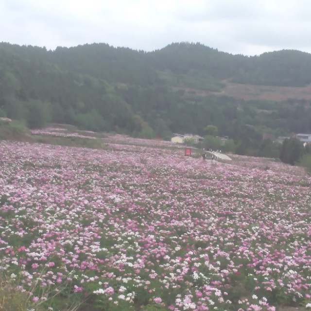 淮南子最有哲理的一句话,淮南子精华全文