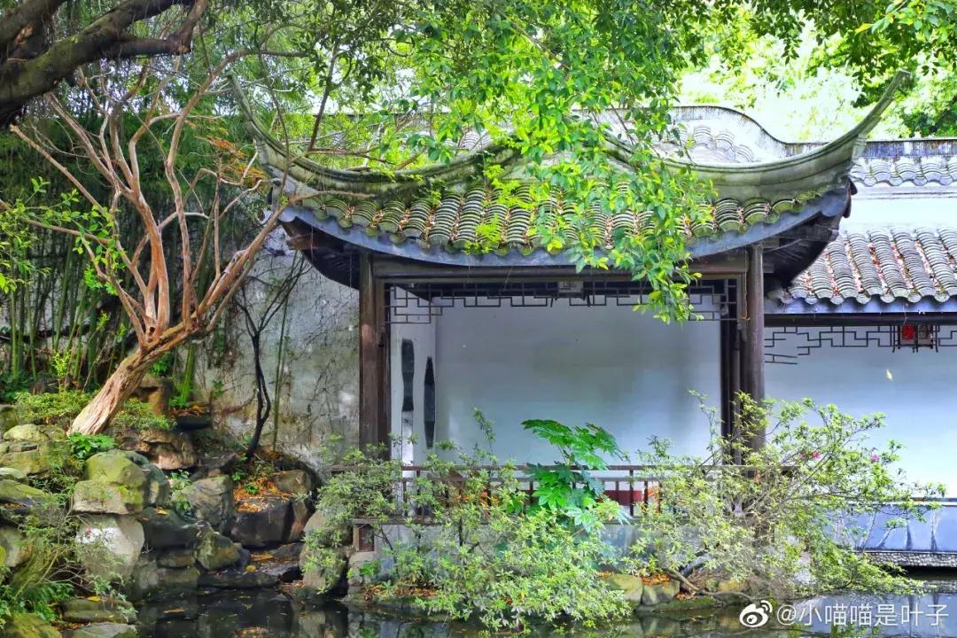 成都市区小众景点免费,成都冷门旅游景点推荐