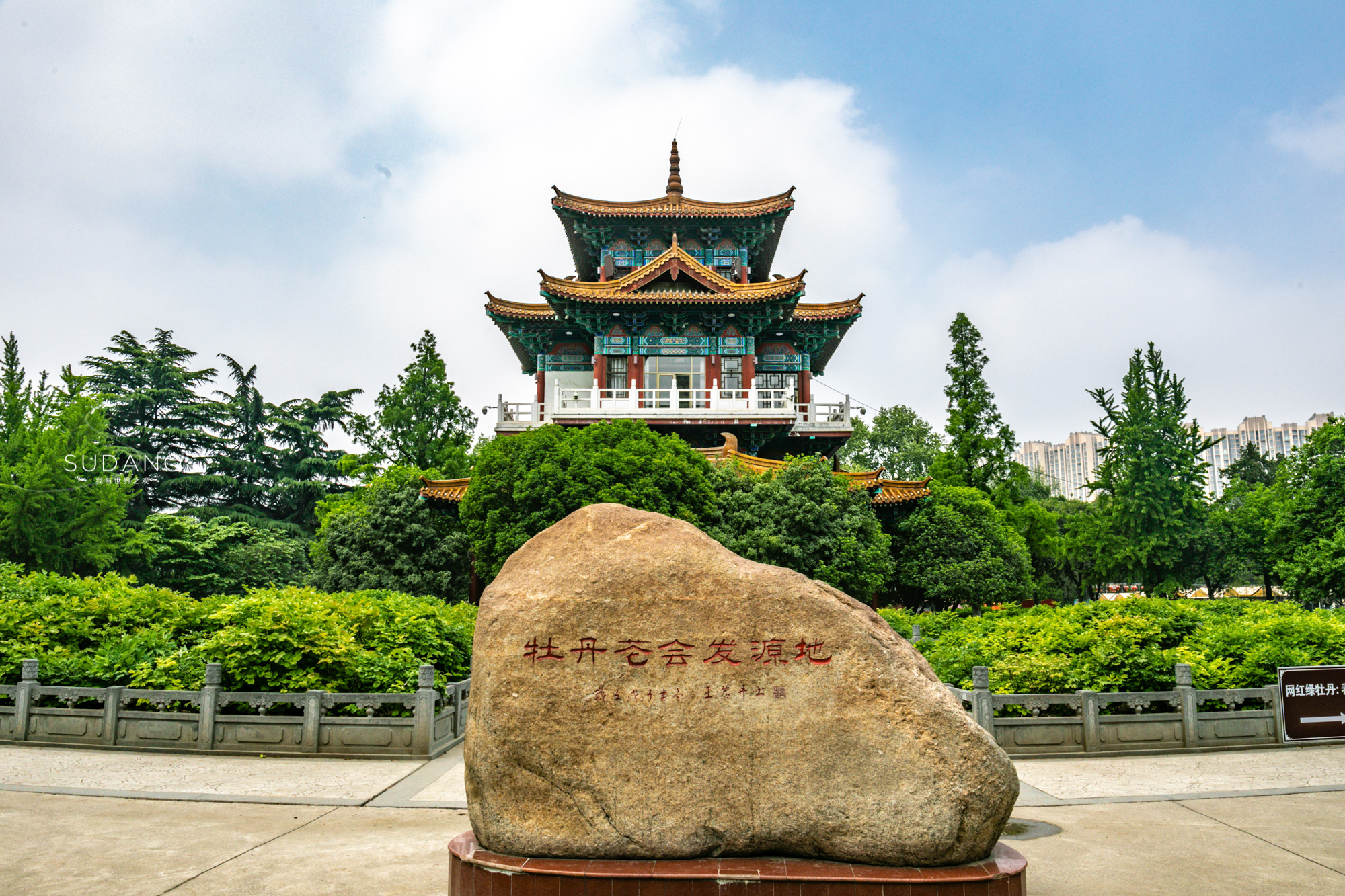 洛阳牡丹甲天下还有吗,洛阳牡丹甲天下的美景