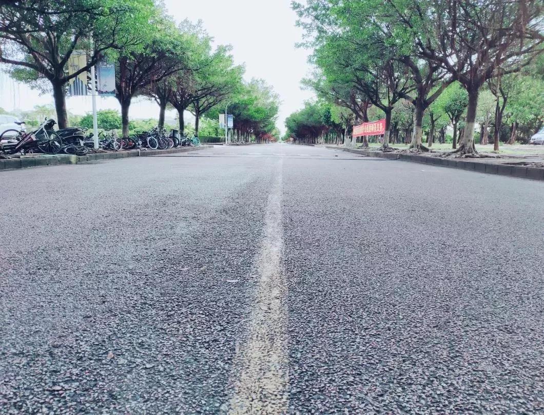 广东科学技术职业学院中专分数线,广东科学技术职业学院有本科嘛