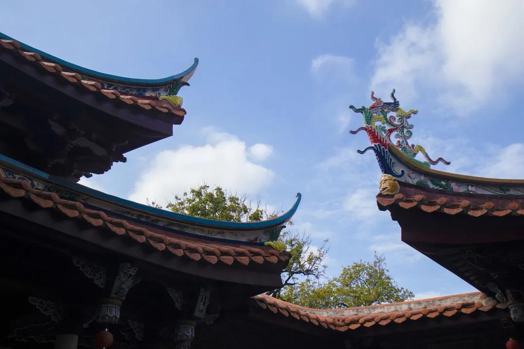 带着白茶去旅行,带着茶叶去踏青