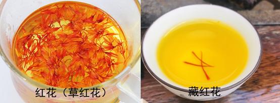 如何辨别藏红花真假视频,如何辨别真假藏红花