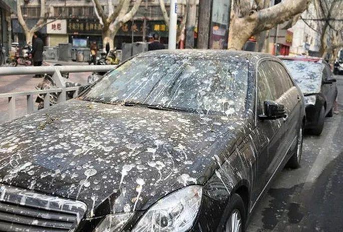 车身顽固污渍怎么去除,车身顽固污渍选择打蜡还是抛光