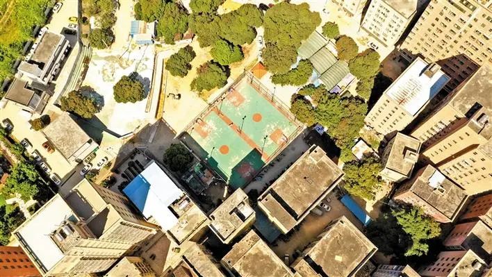 深圳新添大型高颜值公园,深圳最近新开放的公园