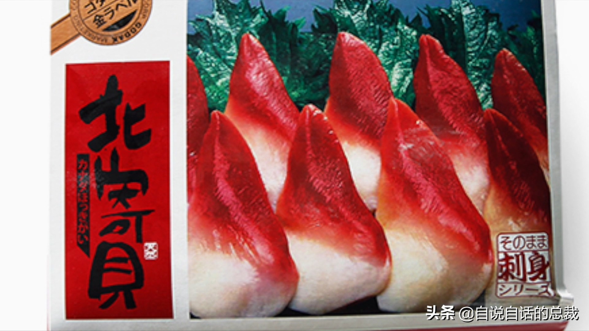 蛤、蚶、蛏、蚝、蚬有什么区别？这是一群美味海怪与人类的故事