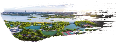 金凤城市中心核心区范围,金凤区新城片区发展