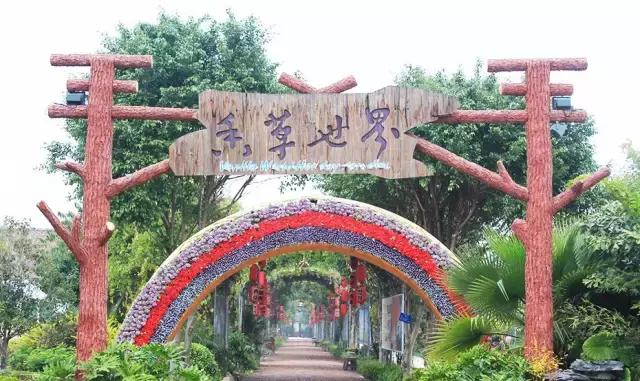 广州本地人最喜欢去的20个地方,你去过几个?