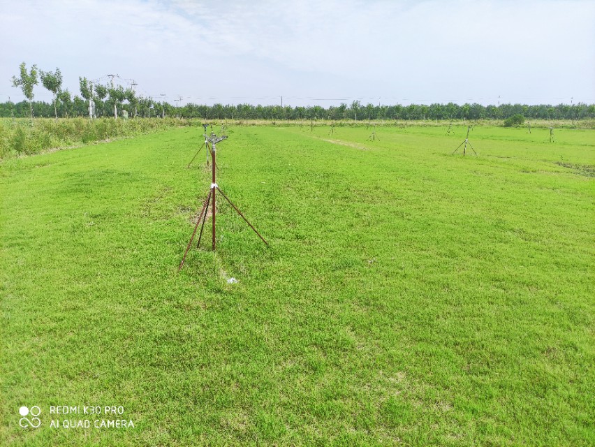 寿北大草原,我们来啦!---探访飞燕草坪寿光双王城基地