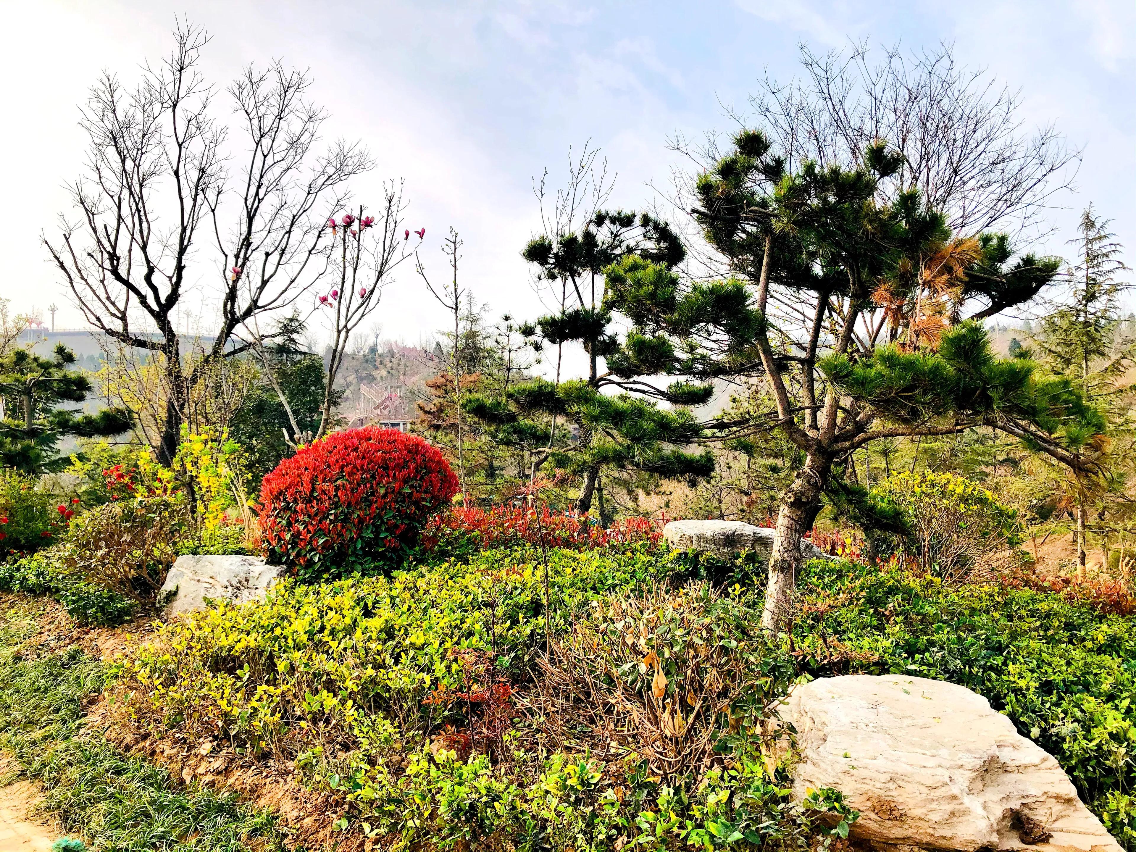 金塘半日游,白鹿原一日游攻略