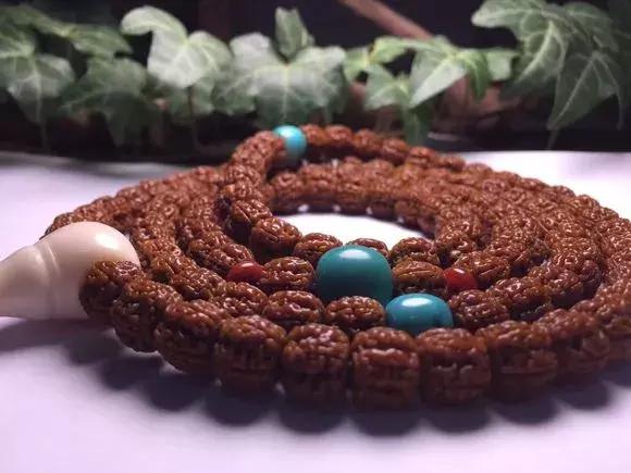 被虐千百遍，还能当初恋对待的恐怕只有它们了……