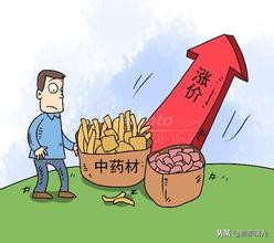 广西种植中药材品种,广西种植中药材哪些药材前景好些