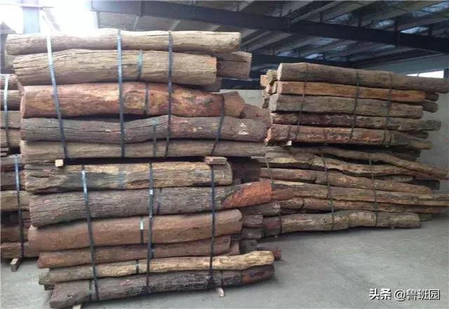 奥氏黄檀和微凹黄檀,奥氏黄檀原木