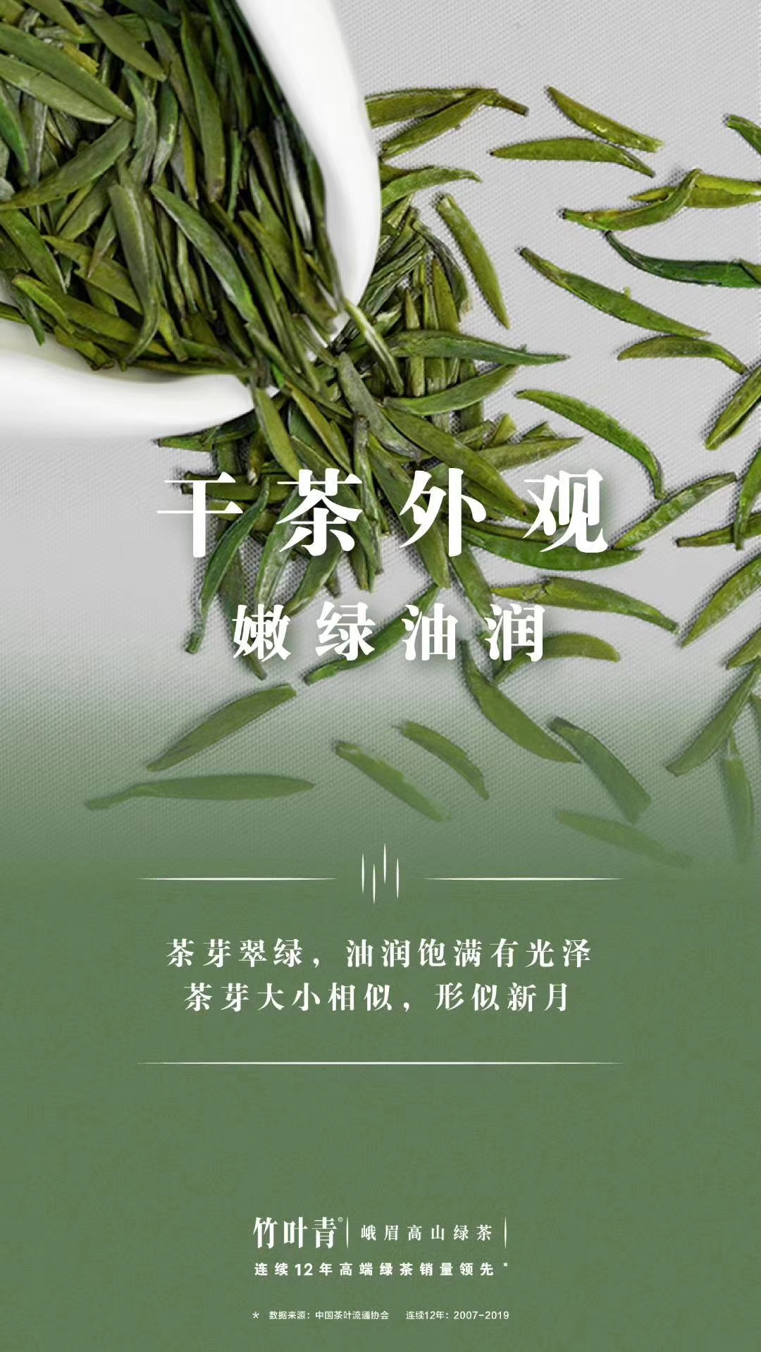 我与汾酒的故事原版,我和绿茶的故事讲述