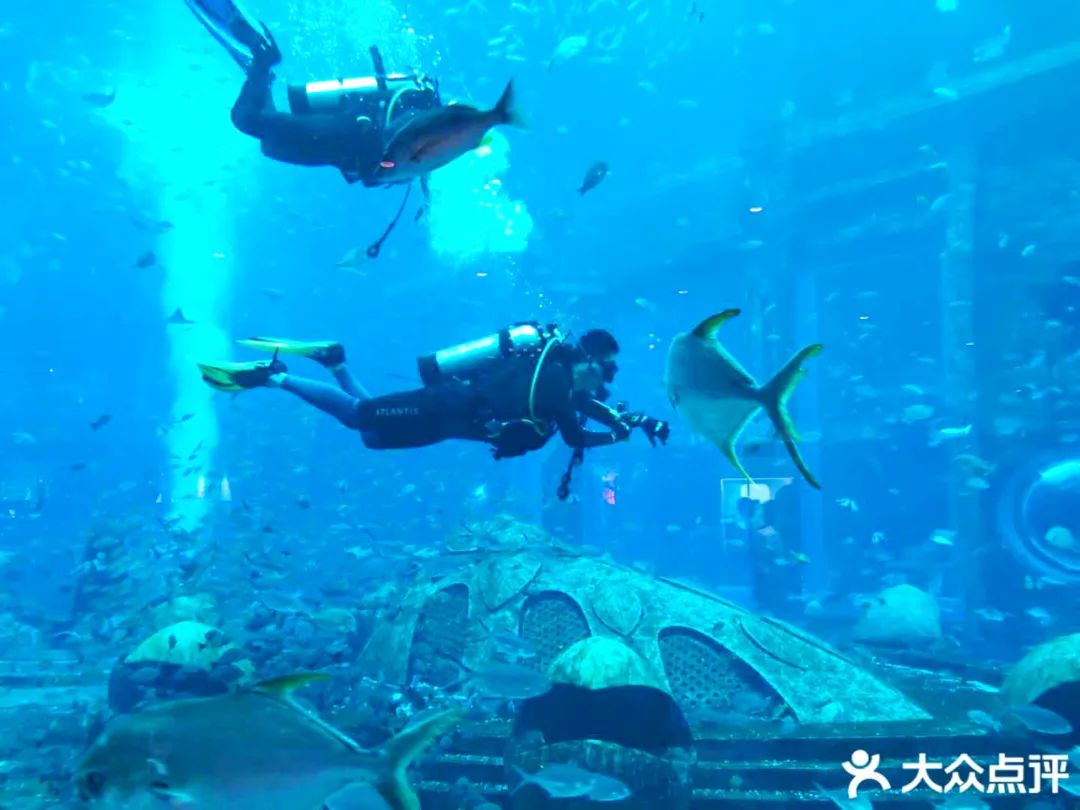 成都250000平方米的人造海滩约吗？杨洋已经帮你体验过了