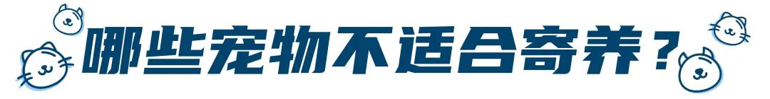 假期要把宠物送去寄养,以下5件事一定要做