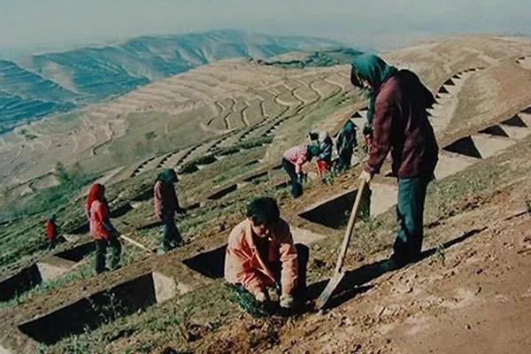 甘肃，一个被面条拉长的的省份！