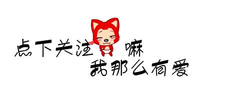 养母萨摩耶要注意什么,养母的金毛要注意什么