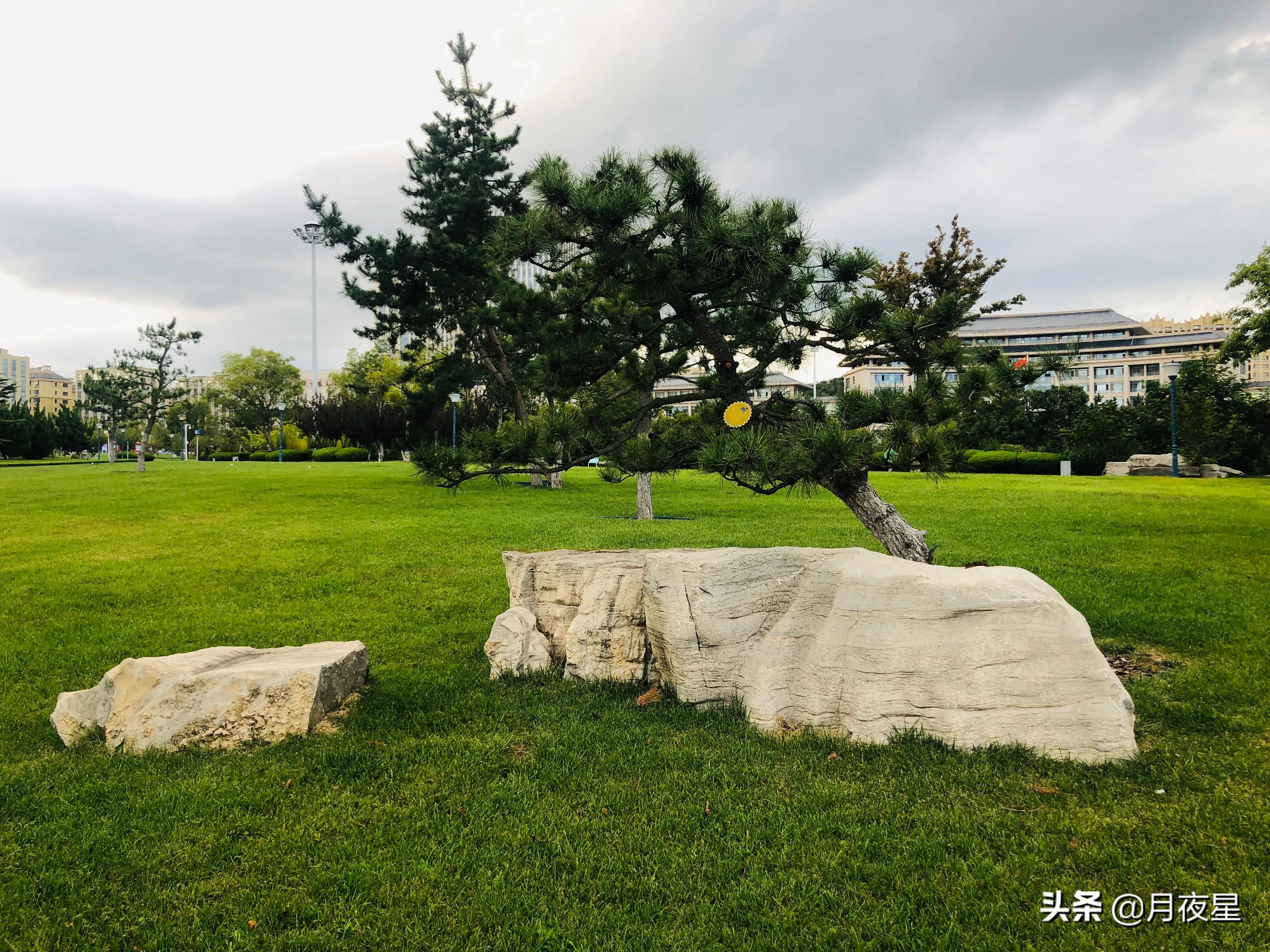 走进威海环翠区,走进威海