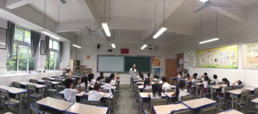 重庆南岸区公立小学学校,重庆南岸区小学排名一览表