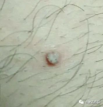 祝大家初五迎财神迎幸福,祝家人和朋友们初五迎财神