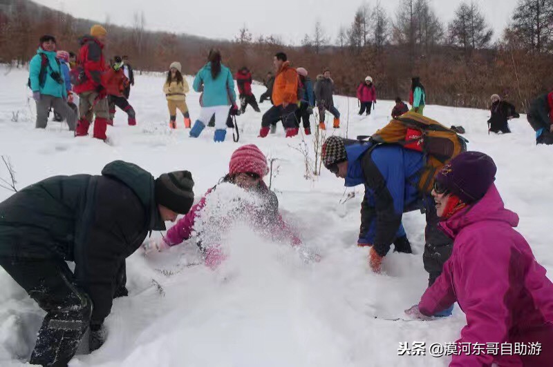漠河极寒之旅,漠河遇到熊