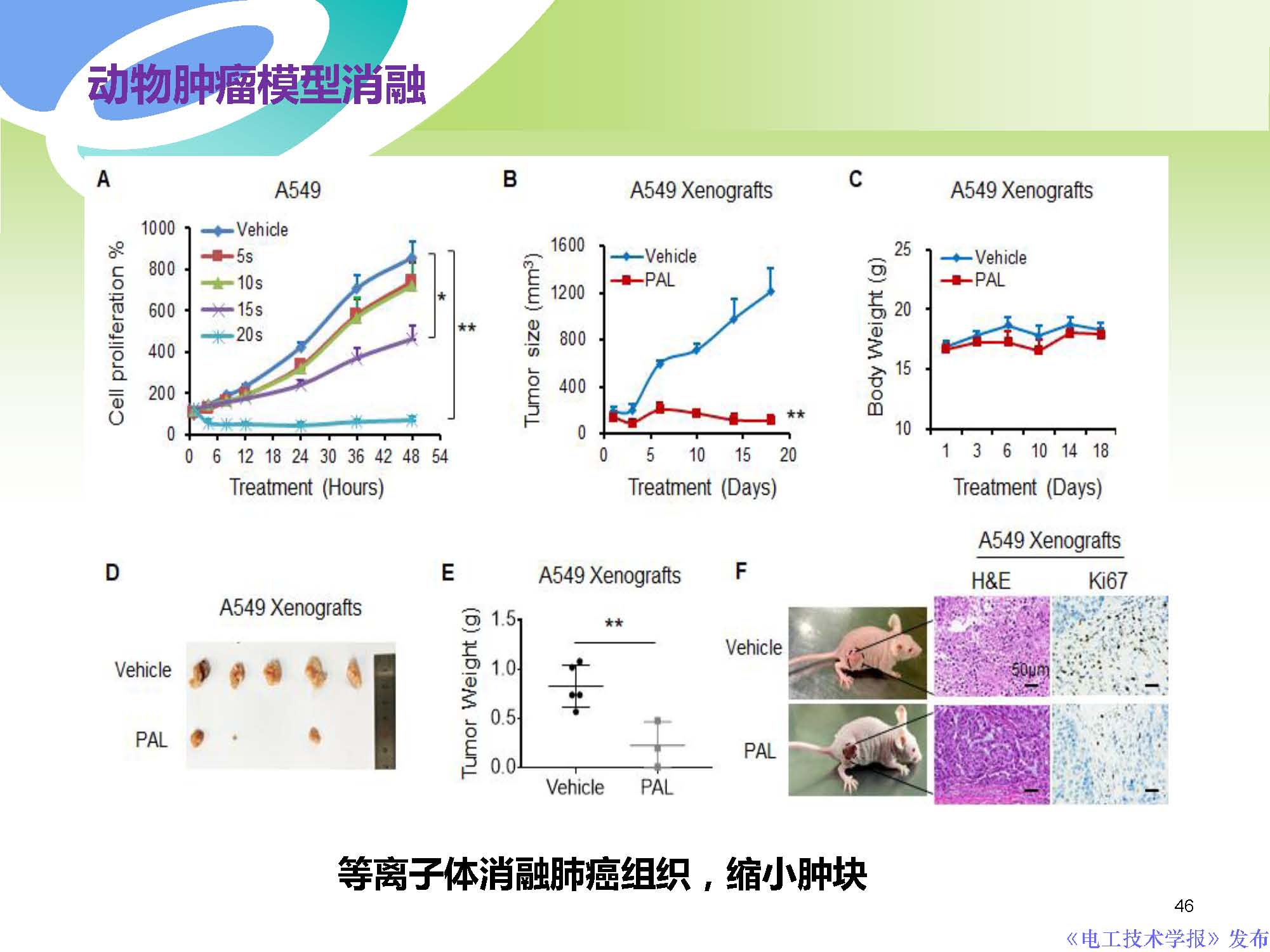 癌症治疗最前沿学术成果,交大癌症治疗新突破