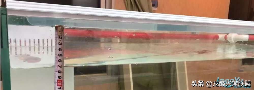 草缸需要买一体化鱼缸吗,为什么没有一体成型的鱼缸