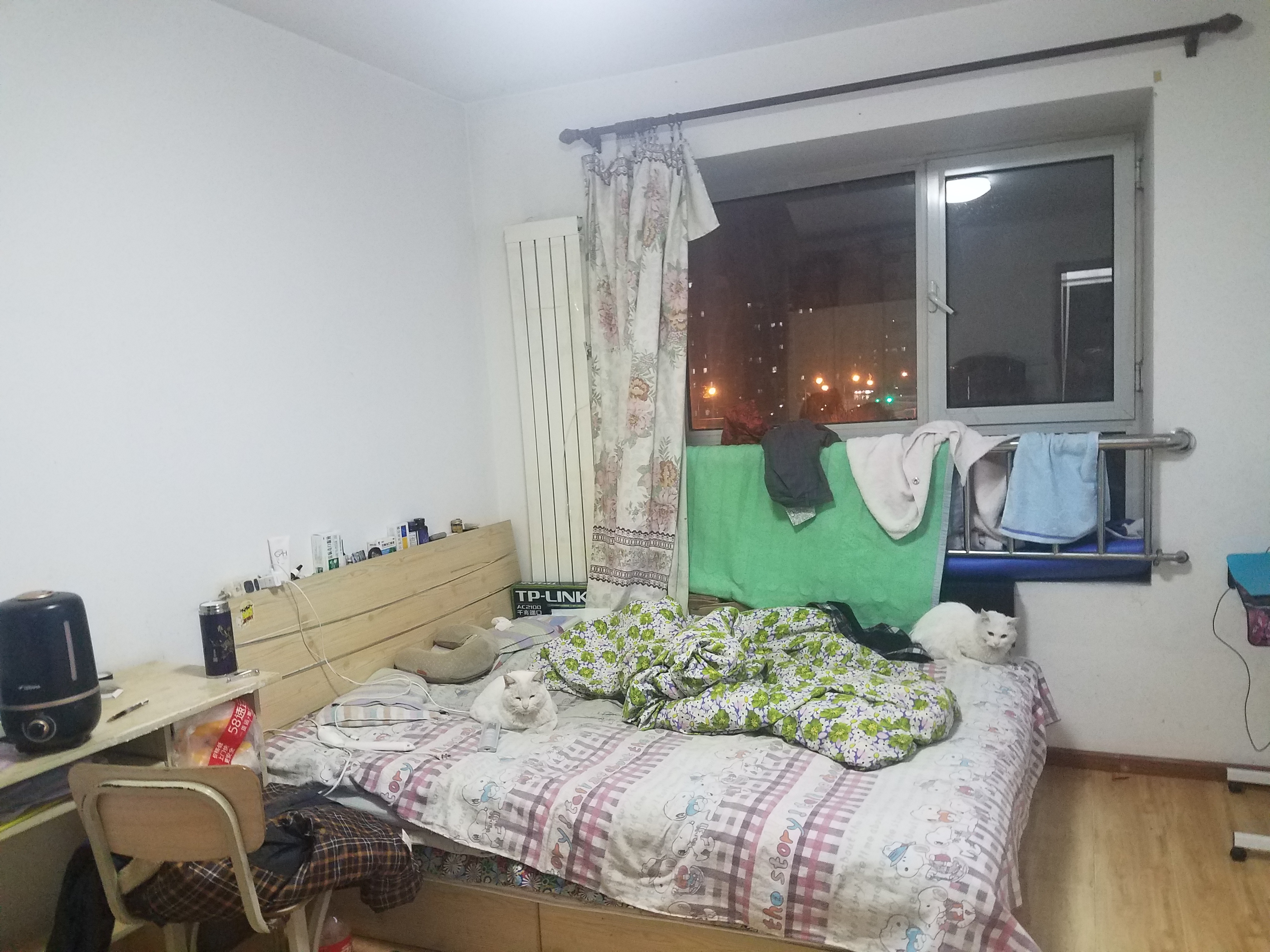 如何避免遇到黑中介,当你遇到黑社会你该怎么办