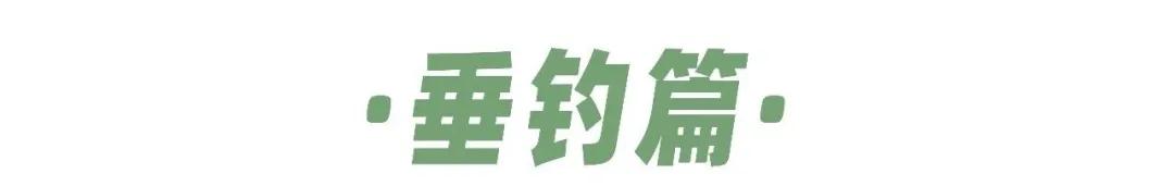 一个不出郑州的踏青好去处,天津春游公园推荐