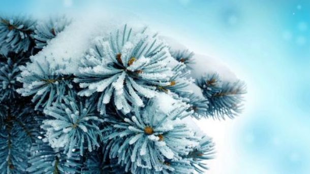 「诗词原创」张大泽｜围炉赊得三壶酒恰是闲来赋月诗