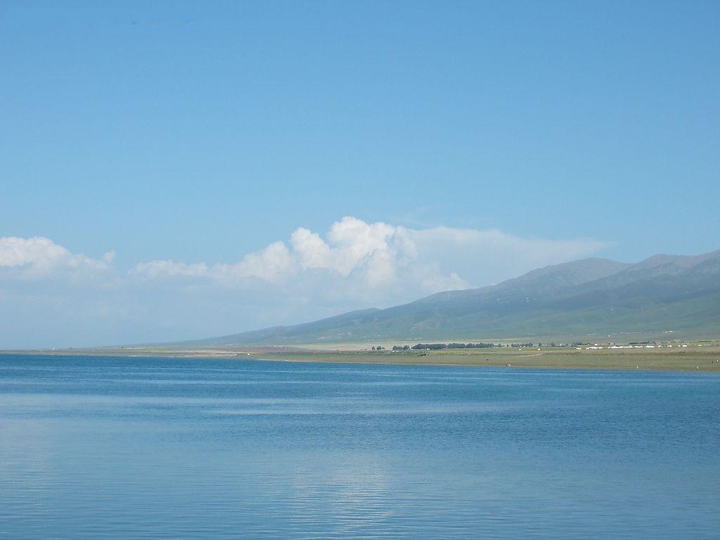 大美青海人间仙境青海湖,青海骆驼青海湖