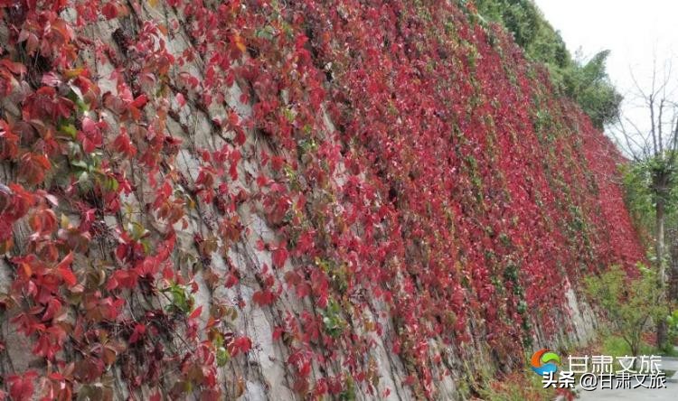 兰州市文旅主题活动,兰州文旅杯活动作品