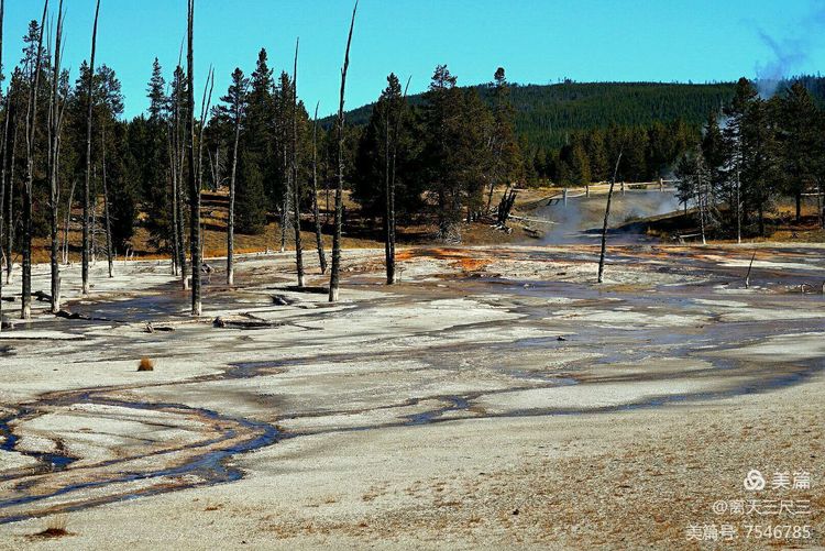 鍖楃編鏋儏闃虫柊,鍖楃編鏋儏鍥剧墖