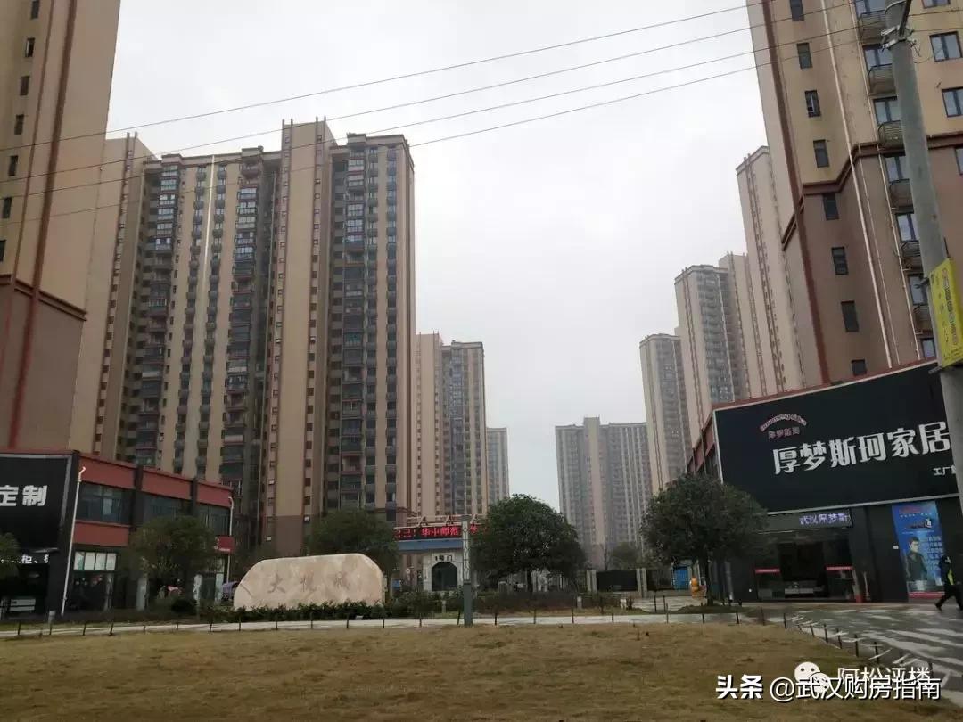 纯新盘入市带来购房良机,前有来者后一句是什么